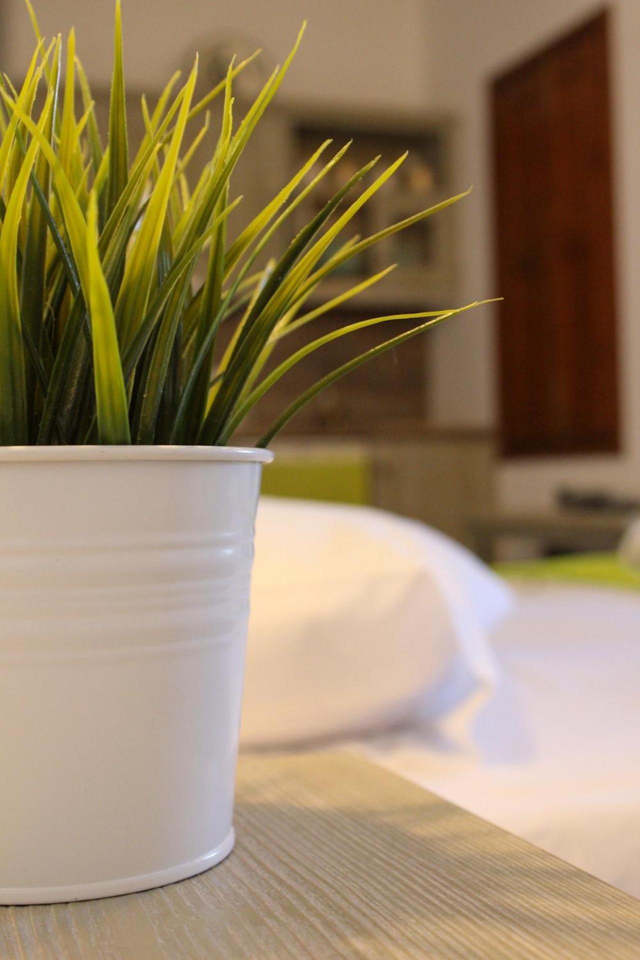 Mistral-Patmos Aparthotel สกาลา ภายนอก รูปภาพ